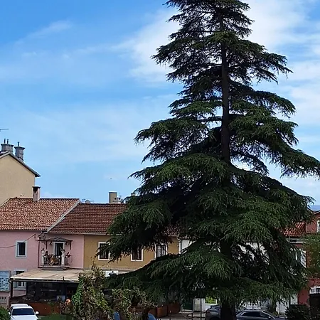 Apartment Knezgrad *